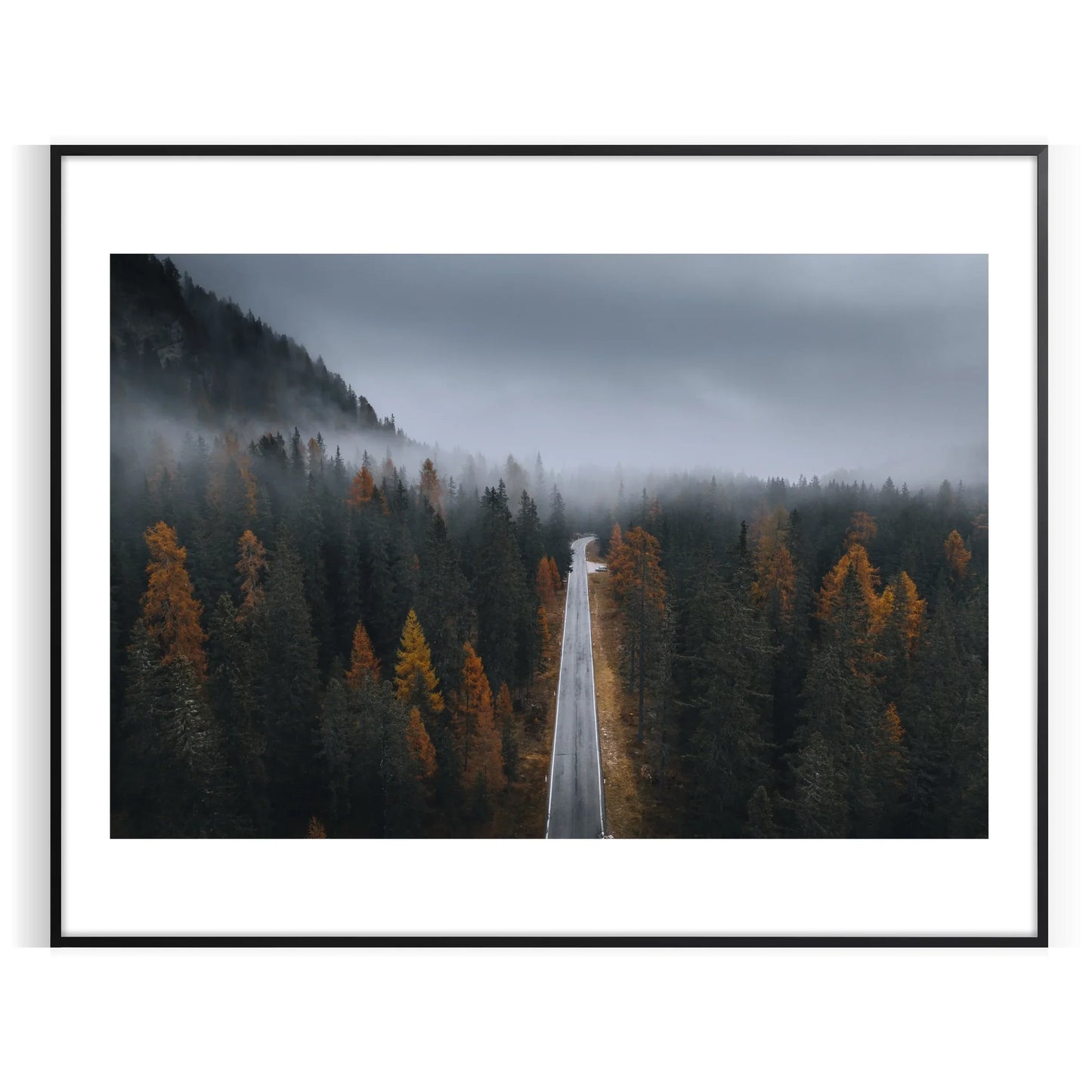 space stunning forest photo poster serene blue vibrant green hues captivating piece wall art perfect nature lovers unique décor thoughtful gift personal treasure standalone print